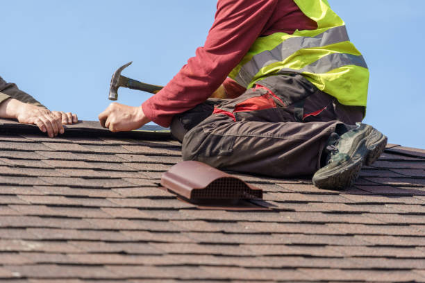 Best Roof Gutter Cleaning  in Loch Lomond, VA