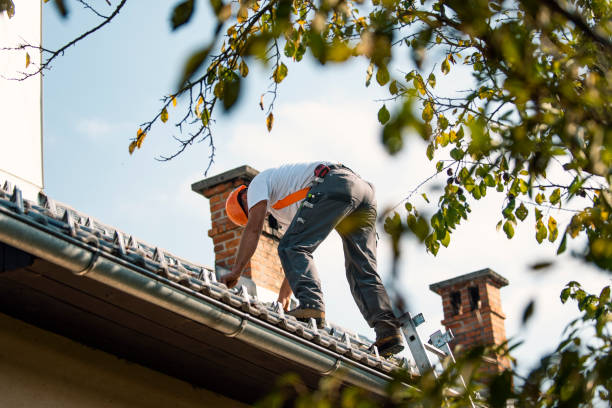 Best Roof Restoration Services  in Loch Lomond, VA