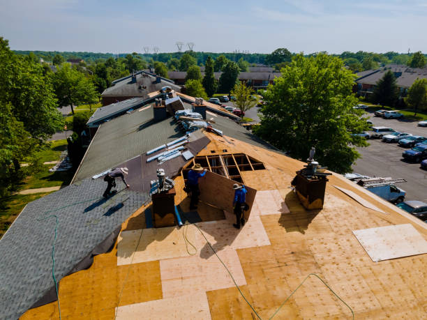 Quick and Trustworthy Emergency Roof Repair Services in Loch Lomond, VA