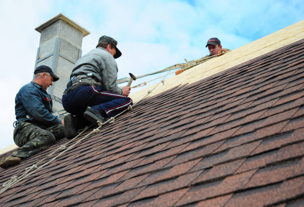 Best Metal Roofing Contractor  in Loch Lomond, VA