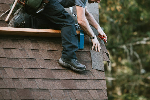 Best Gutter Installation and Roofing  in Loch Lomond, VA