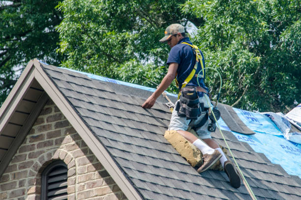 Best Roof Restoration Services  in Loch Lomond, VA